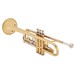 Bach TR650 Bb Trumpet Outfit, Clear Lacquer, Side