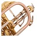 Bach CR651 Bb Cornet Outfit, Lacquer, Triggers