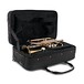 Bach CR651 Bb Cornet Outfit, Lacquer