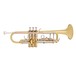 Bach TR501 Bb Trumpet, Lacquer