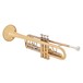 Bach TR501 Bb Trumpet, Lacquer, Side