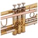 Bach TR501 Bb Trumpet, Lacquer, Valves