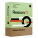  Reason 11