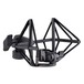 sE Electronics VR1 Ribbon Mic - Shock Mount