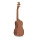 Cordoba 20CM Concert Ukulele