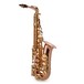 Trevor James SR Alto Saxophon, Phosphor Bronze mit Gold Tasten