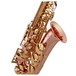 Trevor James SR Alto Saxophone, Phosphor Bronze with Gold Keys