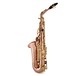 Trevor James SR Alto Saxophone, Phosphor Bronze with Gold Keys
