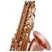 Trevor James SR Alto Saxophone, Phosphor Bronze with Gold Keys