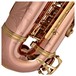 Trevor James SR Alto Saxophone, Phosphor Bronze with Gold Keys