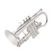 Trevor James Renaissance TJCT6500 Cornet, Silver Plate