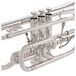 Trevor James Renaissance TJCT6500 Cornet, Silver Plate