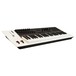 Nektar Panorama P4 Keyboard Controller - Angled