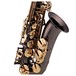 Trevor James SR Alto Saxophone, Black Lacquer with Gold Lacquer Keys