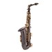 Trevor James SR Alto Saxophone, Black Lacquer with Gold Lacquer Keys