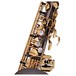 Trevor James SR Alto Saxophone, Black Lacquer with Gold Lacquer Keys