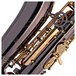 Trevor James SR Alto Saxophone, Black Lacquer with Gold Lacquer Keys