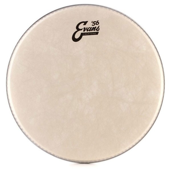 Evans 56 Calftone 12'' Drum head