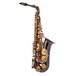 Trevor James Classic II Alto Saxophone, Black and Gold