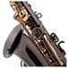 Trevor James Classic II Alto Saxophone, Black and Gold