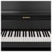 Casio GP400 Grand Hybrid Piano, Black, Keys