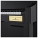 Casio GP400 Grand Hybrid Piano, Black, Bechstein