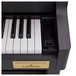 Casio GP400 Grand Hybrid Piano, Black, Volume