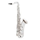 Yamaha YTS280S Student Tenor Saxophone, Silver