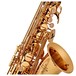 Buffet 100 Series Alto Saxophone, Lacquer