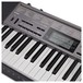 Casio LK 265 Portable Keyboard, Black