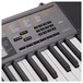 Casio LK 265 Portable Keyboard, Black