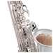 Yanagisawa AWO1S Alto Saxophone, Silver