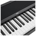 Korg B1 Digital Piano, Black