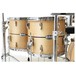 Pearl Masters MCT LTD Edition 5pc Shell Pack, Maple Echelon