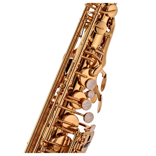 Trevor James 'The Horn' Alto Saxophone, Gold Lacquer