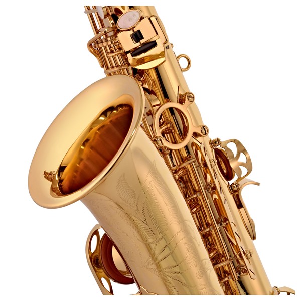 Trevor James 'The Horn' Alto Saxophone, Gold Lacquer