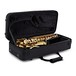 Trevor James 'The Horn' Alto Saxophone, Gold Lacquer