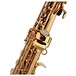 Trevor James EVO Soprano Saxophone, Gold Lacquer