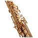 Trevor James EVO Soprano Saxophone, Gold Lacquer