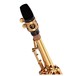 Trevor James EVO Soprano Saxophone, Gold Lacquer