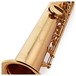 Trevor James EVO Soprano Saxophone, Gold Lacquer