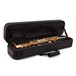 Trevor James EVO Soprano Saxophone, Gold Lacquer