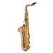 Trevor James SR Tenor Saxophone, Gold Lacquer