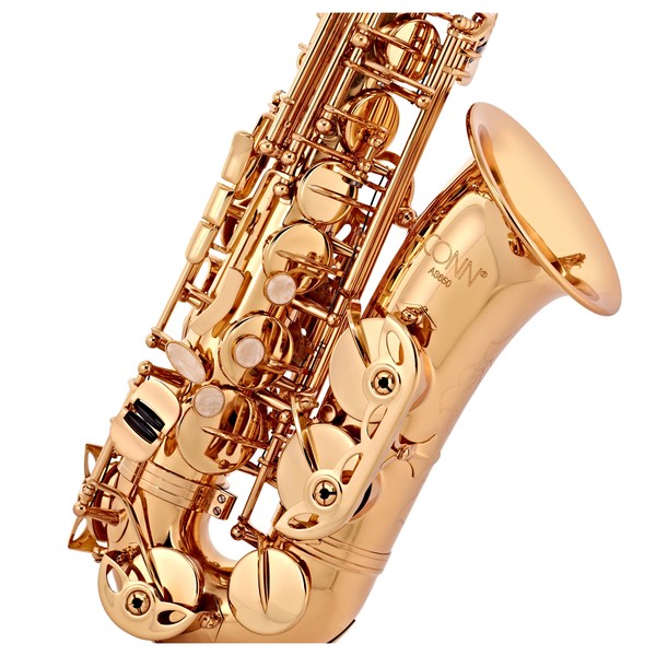 Conn AS650 Alto Saxophone, Gold Lacquer