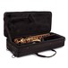 Conn AS650 Alto Saxophone, Gold Lacquer