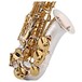 Odyssey OAS700SVR Premiere Alto Saxophone, Silver