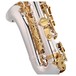 Odyssey OAS700SVR Premiere Alto Saxophone, Silver