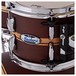 Pearl Masters MCT LTD Edition 5pc Shell Pack, Banded Antique