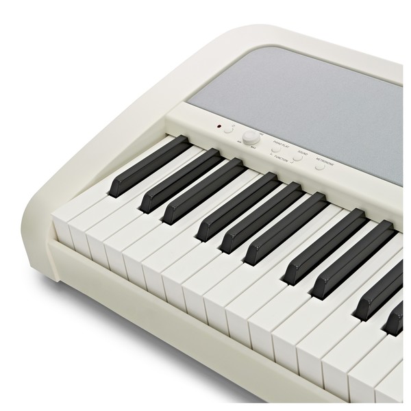 Korg B2 Digital Piano, White side