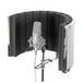 RF1 Microphone Filter - With Mic (Microphone and Stand Not Included)
